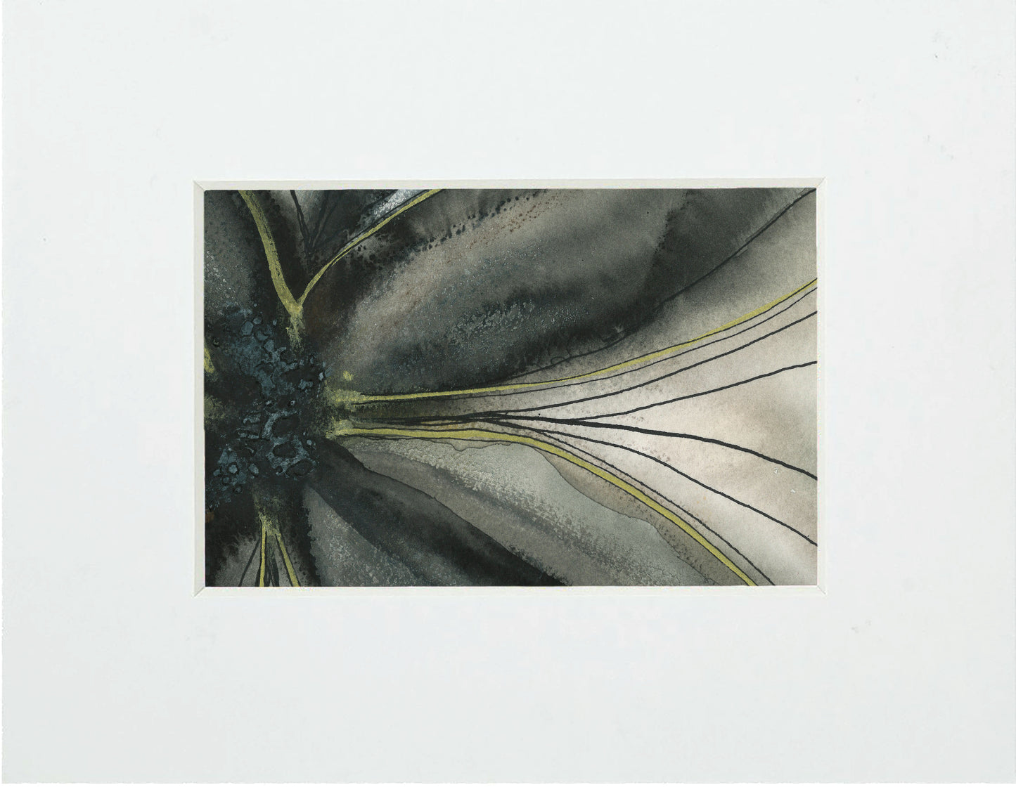 Botanical Form III Print