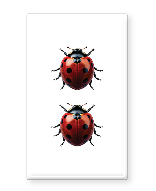 Decorative Matchbox Lady Bug
