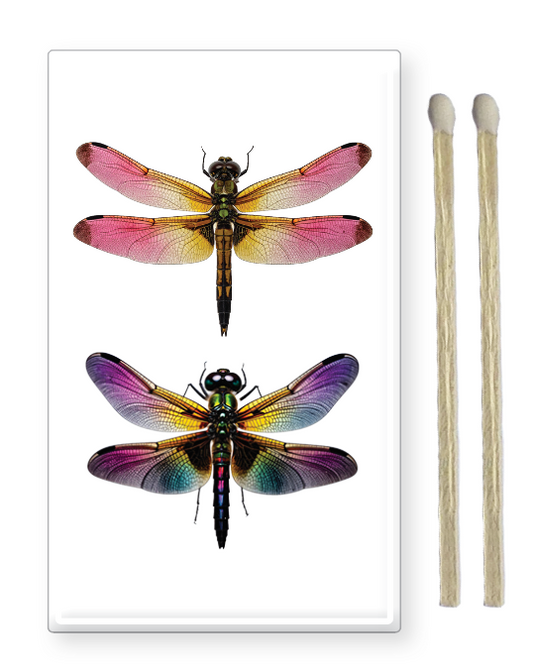 Decorative Matchbox Dragon Flies