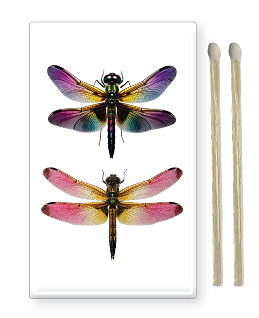 Decorative Matchbox Dragon Flies