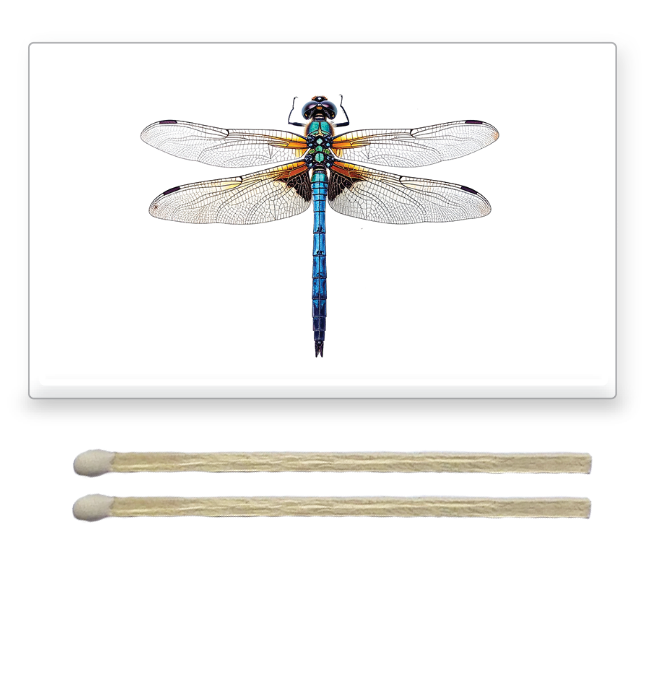Decorative Matchbox Dragon Flies