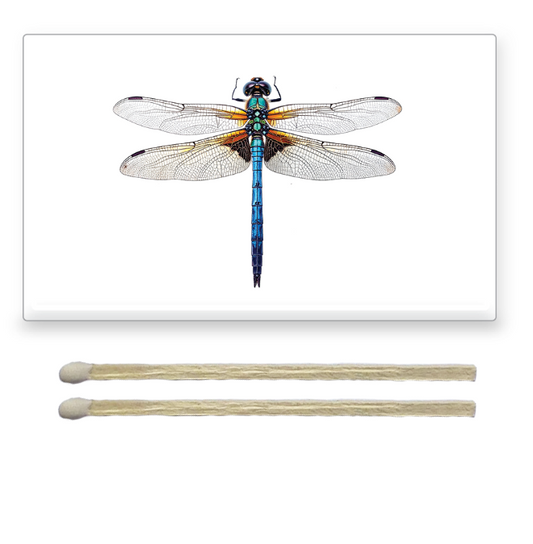 Decorative Matchbox Dragon Flies
